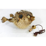 Spiny Blowfish Pufferfish Light / Large 15"-18" - Tropically Inclined