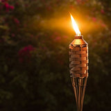 TIKI Brand 57-Inch Luau Bamboo Torch - 12 pack - Tropically Inclined