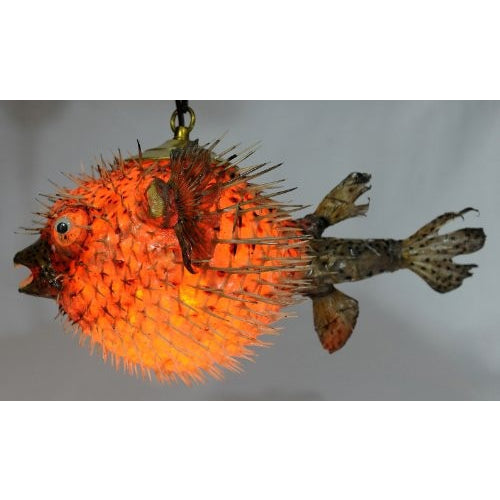 Spiny Blowfish Pufferfish Light / Large 15"-18" - Tropically Inclined