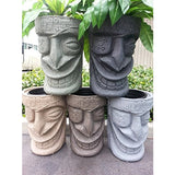 Pirate Tiki Planter (Brazillian) - Tropically Inclined