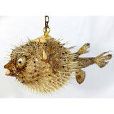 Spiny Blowfish Pufferfish Light / Large 15"-18" - Tropically Inclined